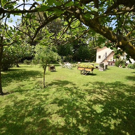 Bed and Breakfast Capannone111 Castiglione di Ravenna Exterior foto