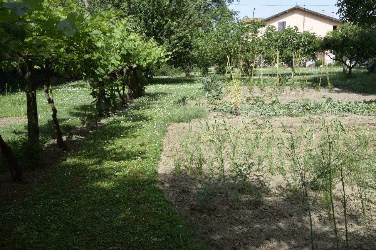 Bed and Breakfast Capannone111 Castiglione di Ravenna Exterior foto